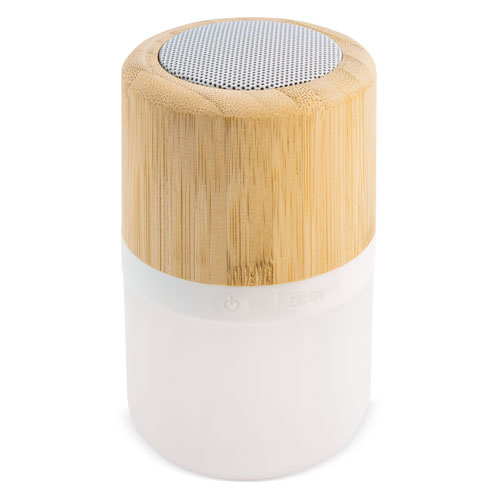 LUMINOUS BAMBOO SPEAKER 