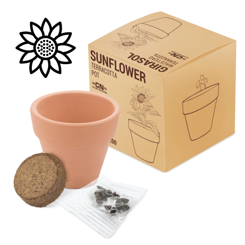 TERRACOTTA POT WITH PETUNIA SEEDS "FLORAL"