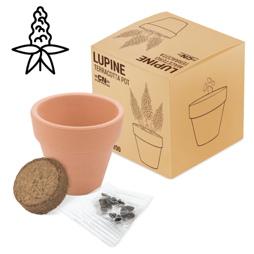 MACETA TERRACOTA LUPINE "FLORAL"