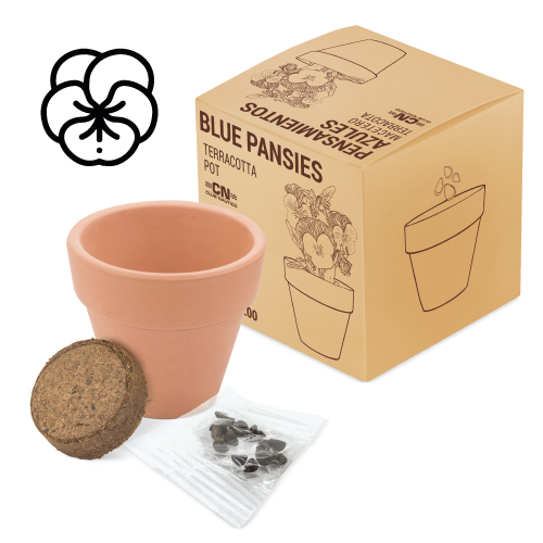 TERRACOTTA POT WITH PANSY SEEDS 