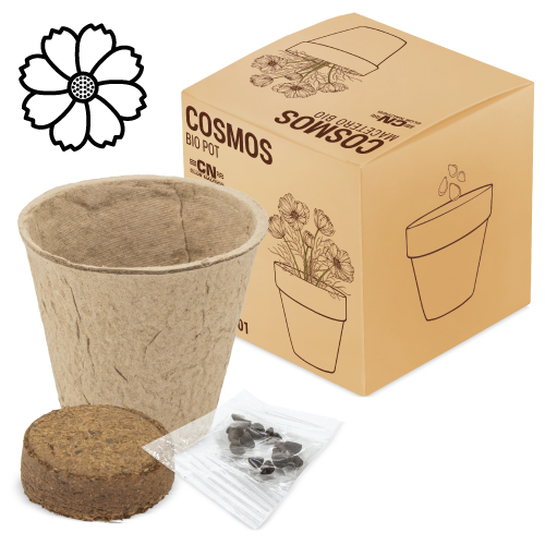 POT  WITH BIO SEED "RAMILLETE" (COSMO)