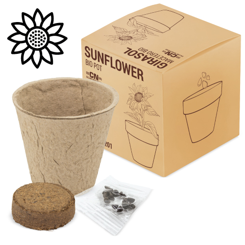 POT  WITH BIO SEED "RAMILLETE" (SUNFLOWER)