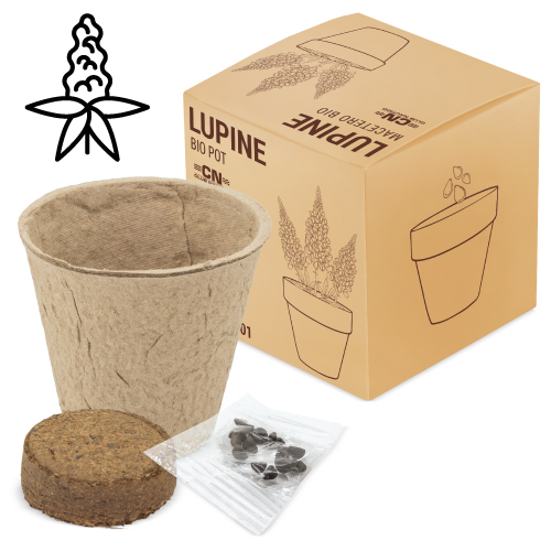 POT  WITH BIO SEED "RAMILLETE" (LUPINE)