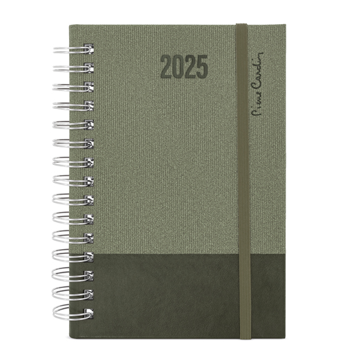 AGENDA ANILLAS PIERRE CARDIN 