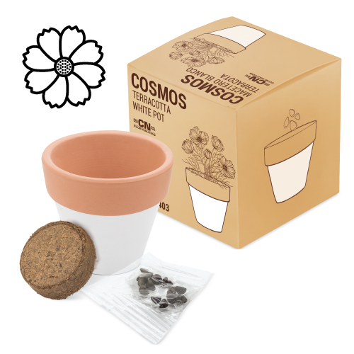 TERRACOTTA POT "WHITE"