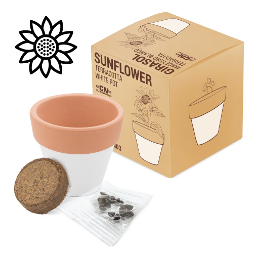 TERRACOTTA POT "WHITE"