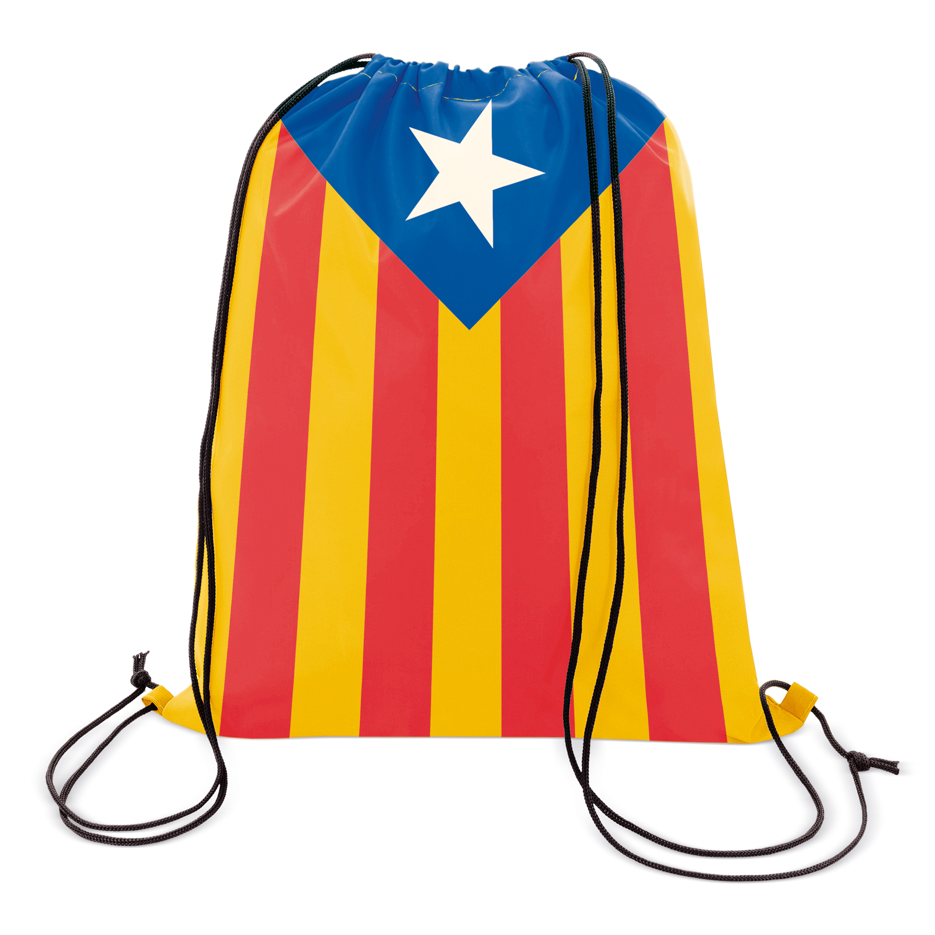 INDEPENDENTIST BACKPACK BAG