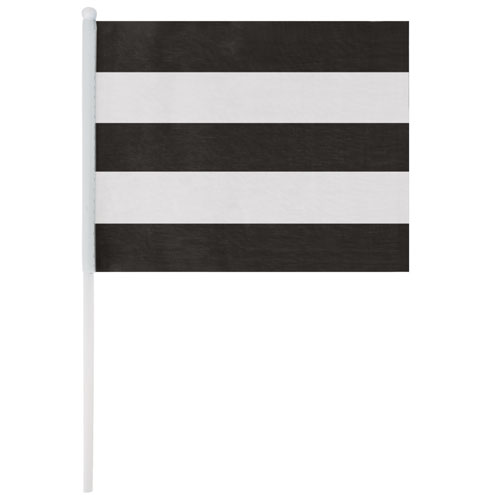 PARTY FLAG 20x16cm