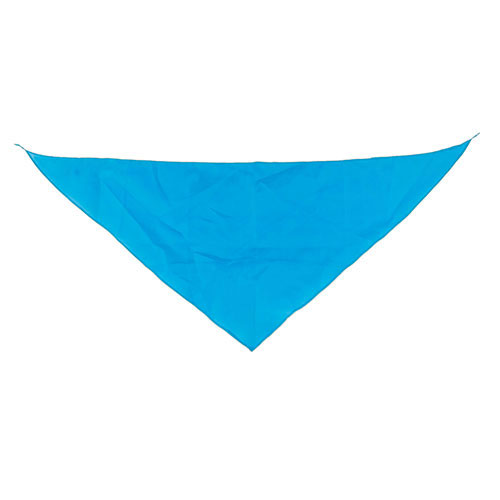 TRIANGULAR PENNANT