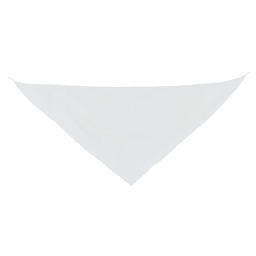 TRIANGULAR PENNANT 