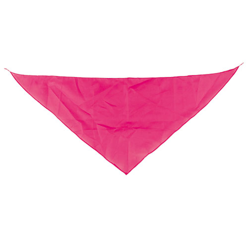 TRIANGULAR PENNANT 