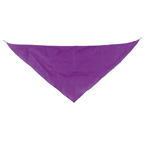 TRIANGULAR PENNANT 