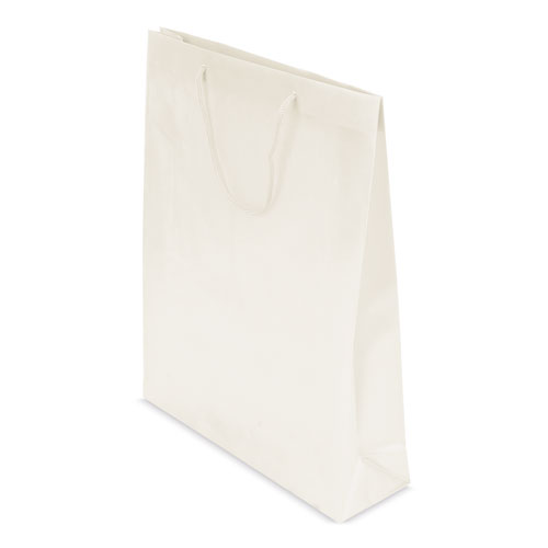 PVC GIFT BAG 