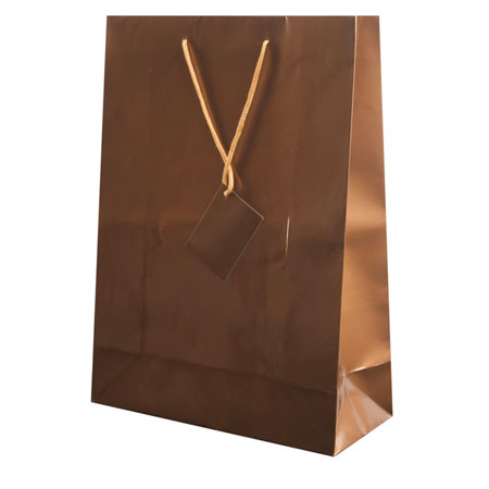 PLASTIFIED GIFT BAG 