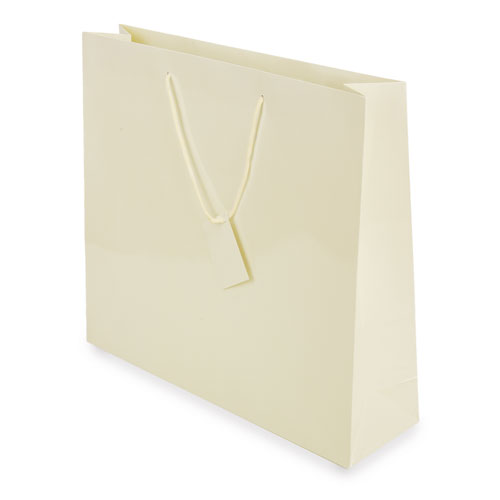 PLASTIFIED GIFT BAG 