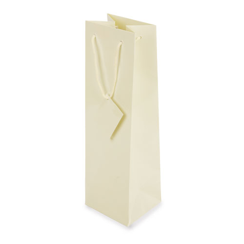 PLASTIFIED GIFT BAG 