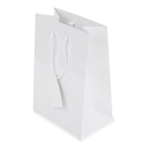 PLASTIFIED GIFT BAG 