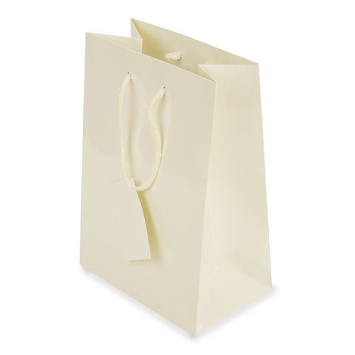 PLASTIFIED GIFT BAG "CALLI"