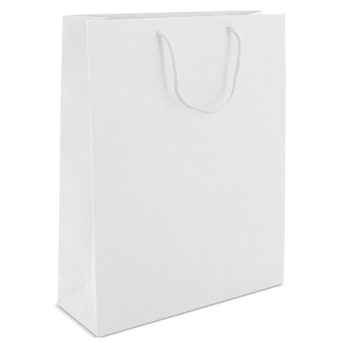 BOLSA DE CARTONCILLO ASA LOOPSE "ALEXIA"