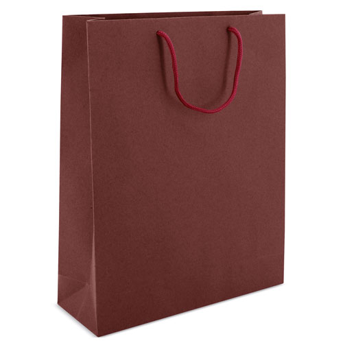 CARDBOARD BAG WITH LOOPSE HANDLE 