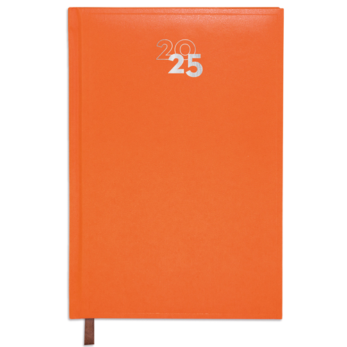 DAY/PAGE "DUBLIN" DIARY