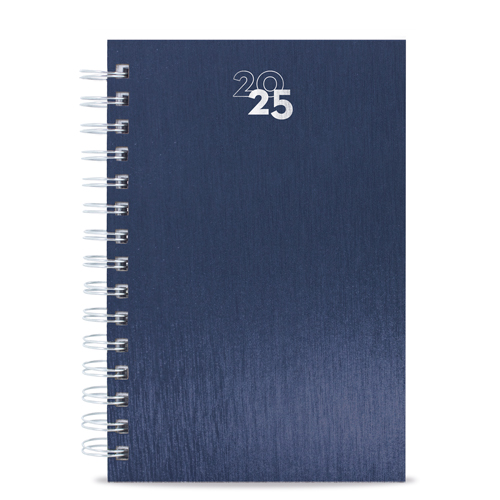 DIARY RAKI