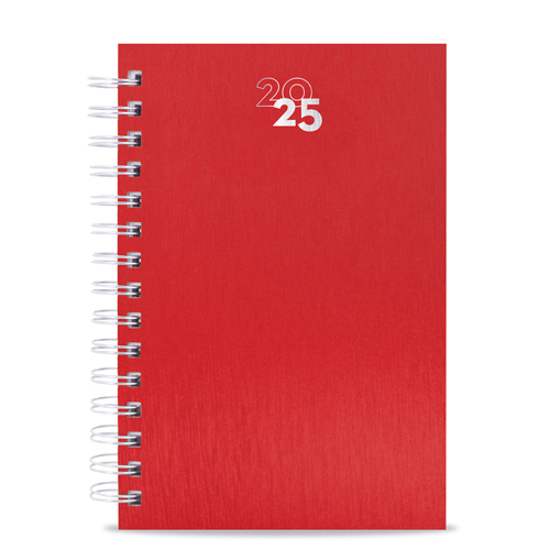 DIARY RAKI