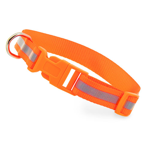REFLECTIVE COLLAR "ANIMAL"