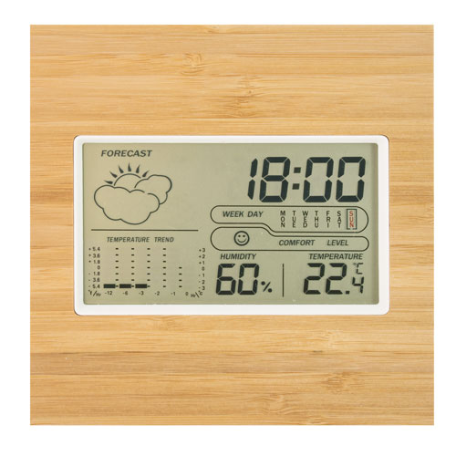 BAMBOO WEATHER STATION 