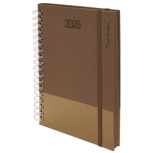 <p>AGENDA ANILLA P.CARDIN 