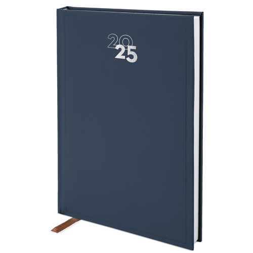 DIARY DAY/PAGE 