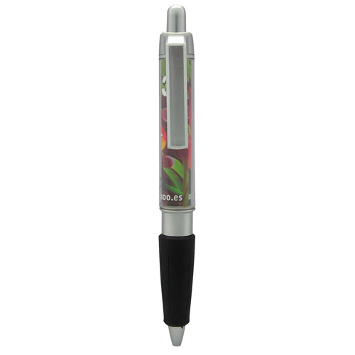 PUBLI-PEN GOVI