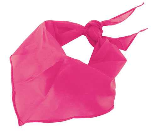 TRIANGULAR PENNANT 