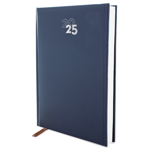 DAY/PAGE "DUBLIN" DIARY