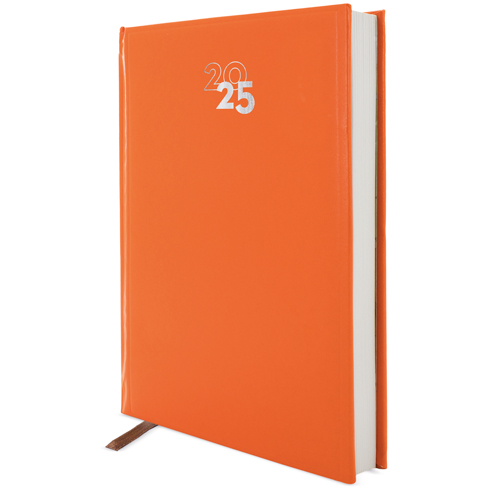 DAY/PAGE "DUBLIN" DIARY