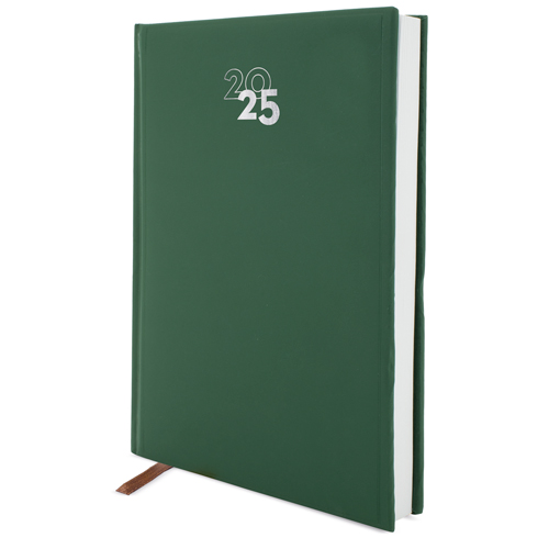 DAY/PAGE "DUBLIN" DIARY