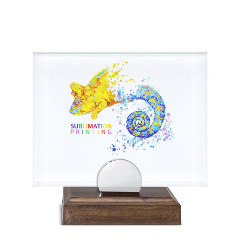 TABLE TROPHY PHOTO 18 X 14 CM 