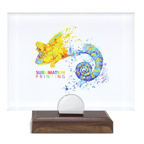 TABLE TROPHY PHOTO 22 X 17 CM 
