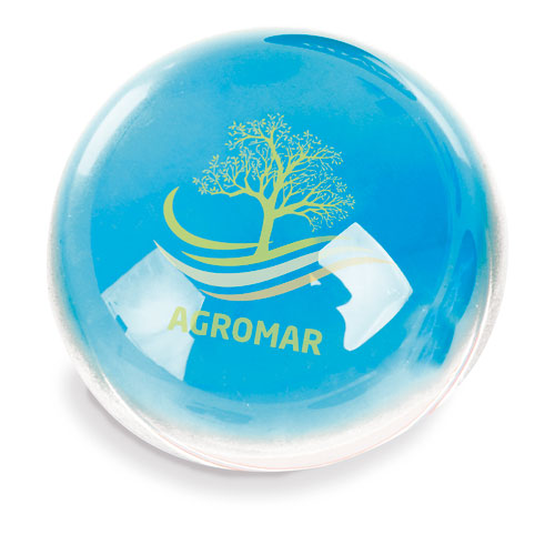MAGNIFYING PAPERWEIGHT GLASS 